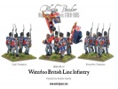 Waterloo British Line Inantry