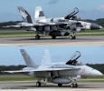 HASEGAWA 02202 F/A-18A+ HORNET 'VFC-12 ADVERSARY