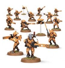 Tau Fire Warrior Team