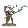 Warhammer Zestaw Startowy Sylvaneth