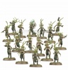 Warhammer Zestaw Startowy Sylvaneth