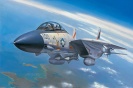 HOBBY BOSS  80276  F-14A Tomcat